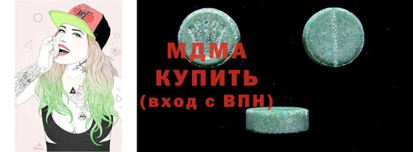 индика Няндома