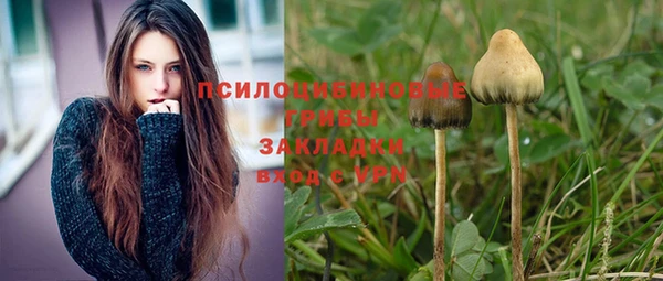 гашик Алзамай