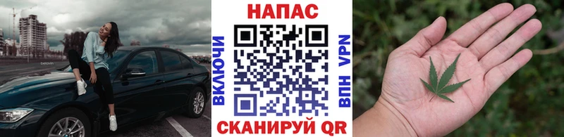 Канабис конопля  Фурманов 